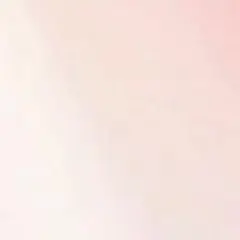 たんたん様専用