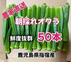 【訳あり】鹿児島県指宿産　朝採れオクラ50本　混合品のサムネイル
