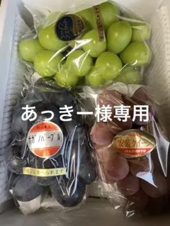 あっきー様専用です