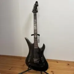 SCHECTER AVENGER シェクター　アベンジャーのサムネイル