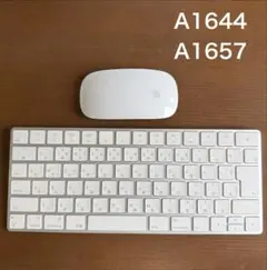 Apple Magic Keyboard & Magic Mouse