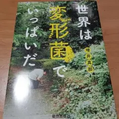 世界は変形菌でいっぱいだ