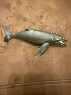 チョコQ 日本の動物 第7弾 ツチクジラ【海洋堂】ブック無 - メルカリ