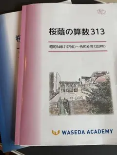 2026年最新】桜蔭 nnの人気アイテム - メルカリ