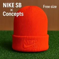 NIKE SB × Concepts コラボ ビーニー TEAM ORANGE