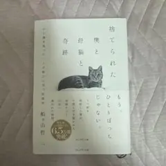 捨てられた僕と母猫と奇跡
