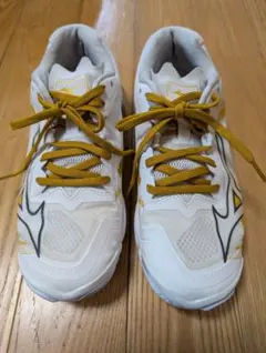 Item thumbnail for item 70daa1a4-5a24-4949-b80d-9b5b21d3e04d