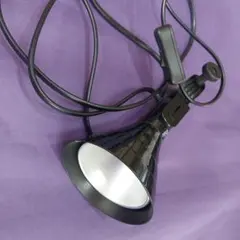 Item thumbnail for item e172e095-6504-4ef4-9c11-3ffeadc1e4f9