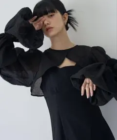 長袖ブラウス PAMEO POSE ブラック Upstairs Blouse - メルカリ