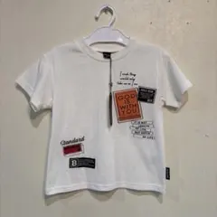 Item thumbnail for item a8464c28-f2ea-41b1-b4ff-2e1fbf4c9ed2