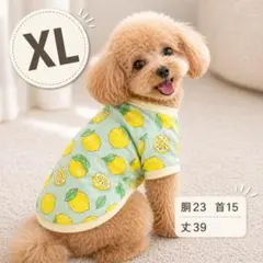 XL犬服　スウェット　レモン柄　水色　フルーツ柄　あったか　小型犬　防寒　お散歩
