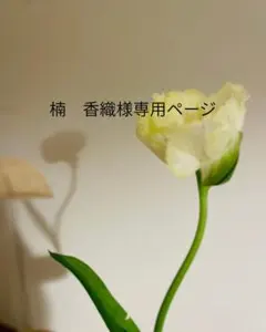 楠香織様専用ページ