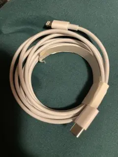 未使用　Apple充電ケーブル