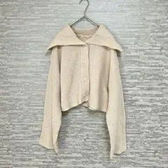 新品❣️エムエスエキサイト ニットカーディガン F アイボリー　ベージュ　ミニ丈のサムネイル