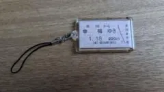 Item thumbnail for item 0bcf1bed-7837-40c9-948f-6662cb60057a