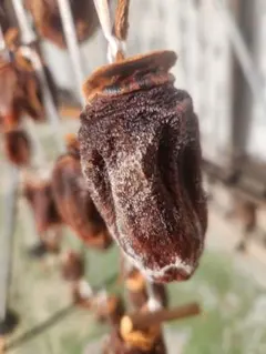 国産 干し柿 堂上蜂屋柿 500g 無農薬 無添加