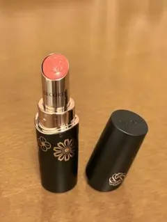 【新品未使用】コスメデコルテ 2025年クリスマスコフレ リップ