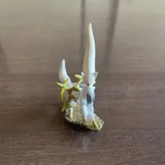 ポケモン アルセウス フィギュア