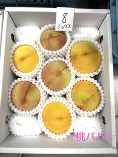 ⑧終了間近セール❗️秀品2キロ箱❗️ ★桃パパ★【送料無料】あら川ブランド桃