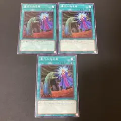 morry様 リクエスト 4点 まとめ商品