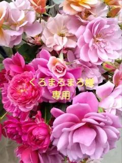 くろまろまろ様専用です。