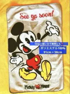 冷房対策に ! ミッキーマウス 膝掛け 小さい 毛布 ラブリーなゴム付❣️携帯可能