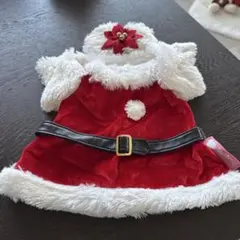 ディズニーシー　シェリーメイ　コスチュームクリスマス