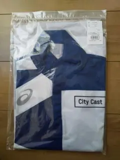 Item thumbnail for item 3df3ef73-d7bf-4bb4-869d-d228e99f950b