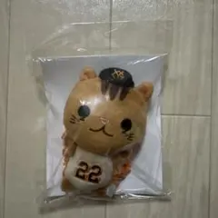 たまちゃん様 リクエスト 2点 まとめ商品