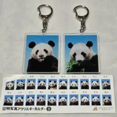 アドベンチャーワールド 証明写真アクリルキーホルダー 2個セット 幸浜・明浜