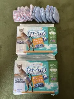 Item thumbnail for item 7994c221-b166-4cd9-b961-991cc8ff2bcf