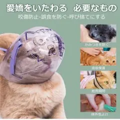 Item thumbnail for item 5b27187f-c1de-47cf-8626-966335afa9ea