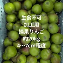 生食不可　加工用 摘果りんご 約20kg　4〜7cm程度のサムネイル