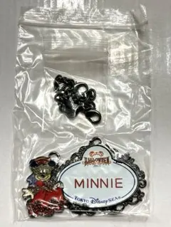 TDS ディズニー　ハロウィーン　オーダー　ネームタグ　デイドリーム　ミニー