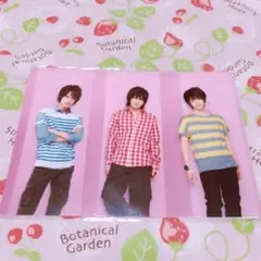 NYC SPRING CONCERT 2011 公式クリアファイル