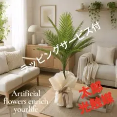 光触媒 観葉植物 ウォールグリーン フェイクグリーン プルメリア付 