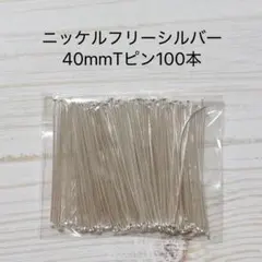 ニッケルフリーシルバー 40mm Tピン 100本