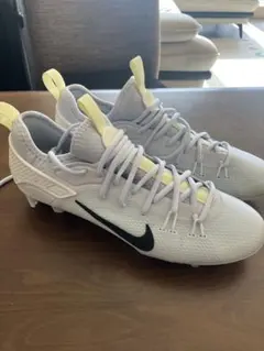 Item thumbnail for item 8d32f6d0-7988-4859-9691-d7a1d2491208