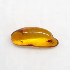 美品 虫入り 琥珀 化石 本物 バルト海産 ケース 15.35mm ab259