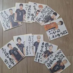 ハイキュー ビジュアル色紙コレクション 全10枚