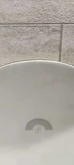 Forum フォーラム　Division 155cm ピーターライン