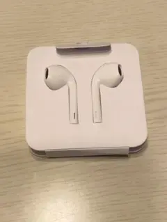 新品未使用 iPhone イヤホン タイプC iPad イヤフォン