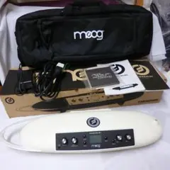2026年最新】テルミン moogの人気アイテム - メルカリ