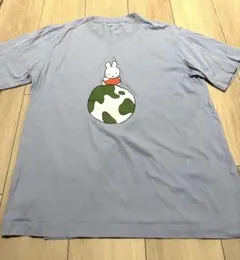 Item thumbnail for item a0436f12-85f0-40df-936e-4b1b07bcf766