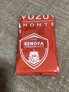 비매품 レノファ山口FC レディース エコバッグ 新品 미개봉