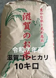 令和7年滋賀県産 コシヒカリ1等【玄米10kg】石抜き済 色選別済み全国送込みのサムネイル