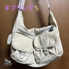 Item thumbnail for item d1b5898e-4fc7-47c2-aca9-05db8167b22a