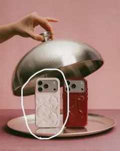 casetify iPhone17Pro ピローケース リボン バレリーナピンク casetify バレリーナピンクリボン ピローケース iPhone17pro - メルカリ