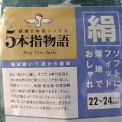 未開封新品◎国産　22〜24cm　5本指　絹　抗菌防臭加工　ラサンテ
