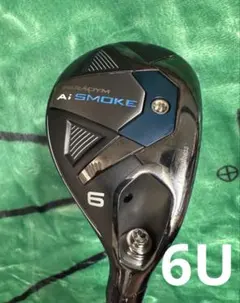 Item thumbnail for item 8ae6e28a-aa96-49a4-a20a-761b4e21f318